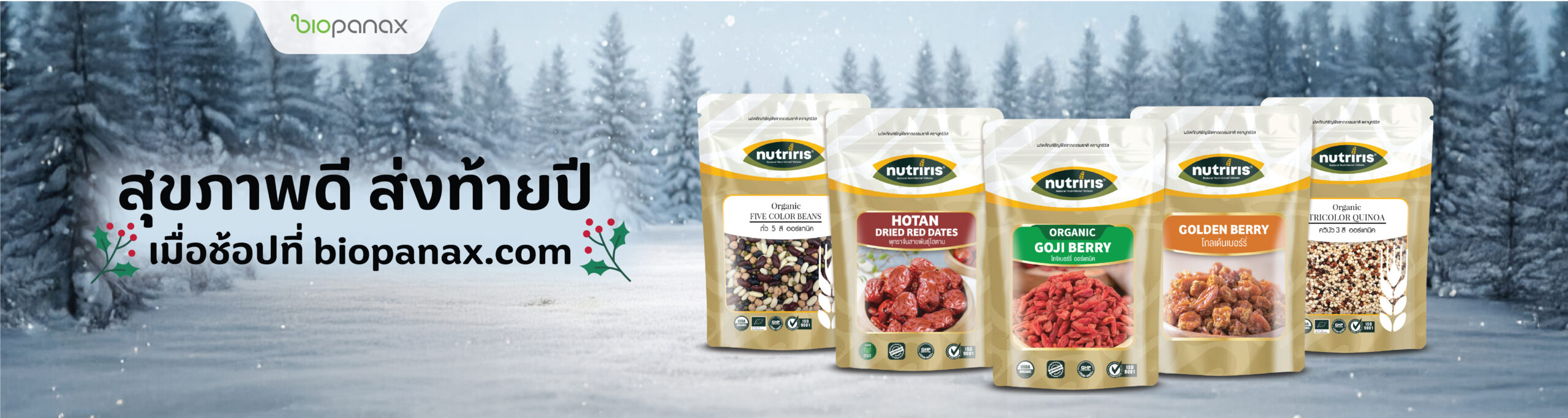 ปก เว็บไซต์ 192 X 512 px 12.12-01