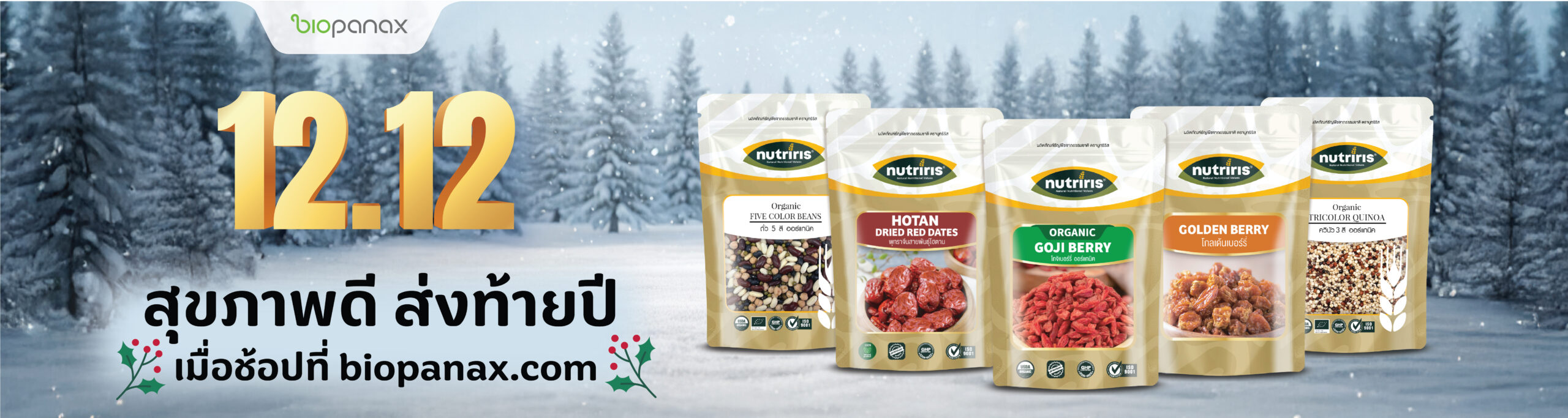 ปก เว็บไซต์ 192 X 512 px 12.12-01