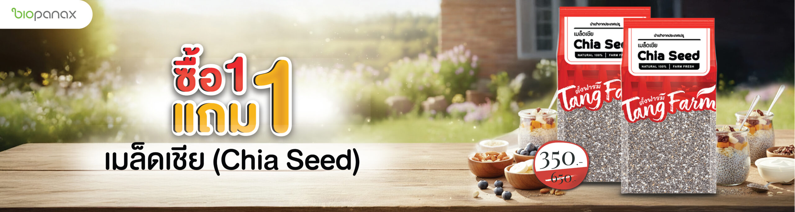 ปก เว็บไซต์ 192 X 512 px เชีย 1 แถม 1-01-01