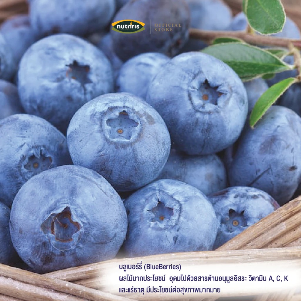 บลูเบอร์รี่ (1) บลูเบอร์รี่